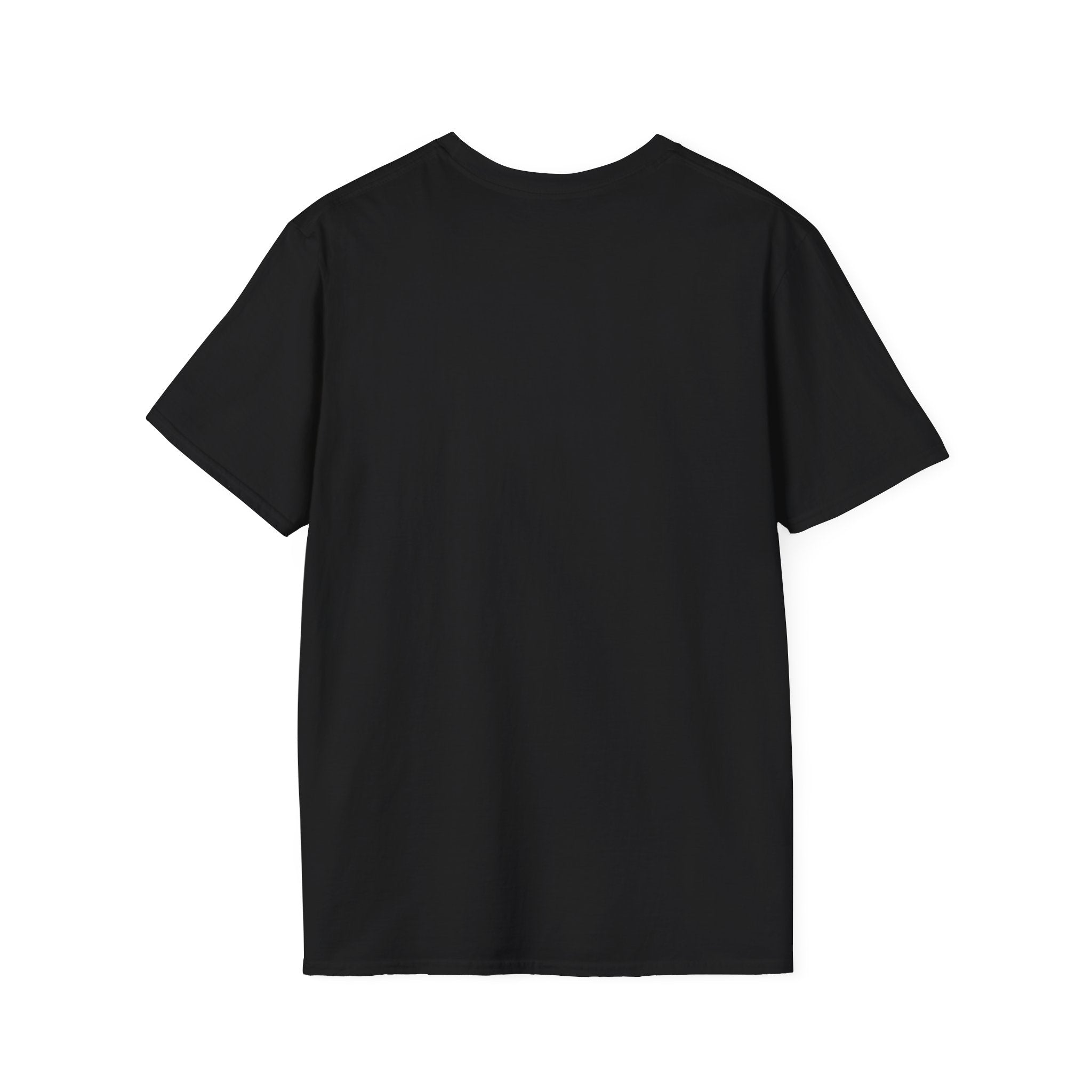 EMS cat tarot "Healer" T-Shirt